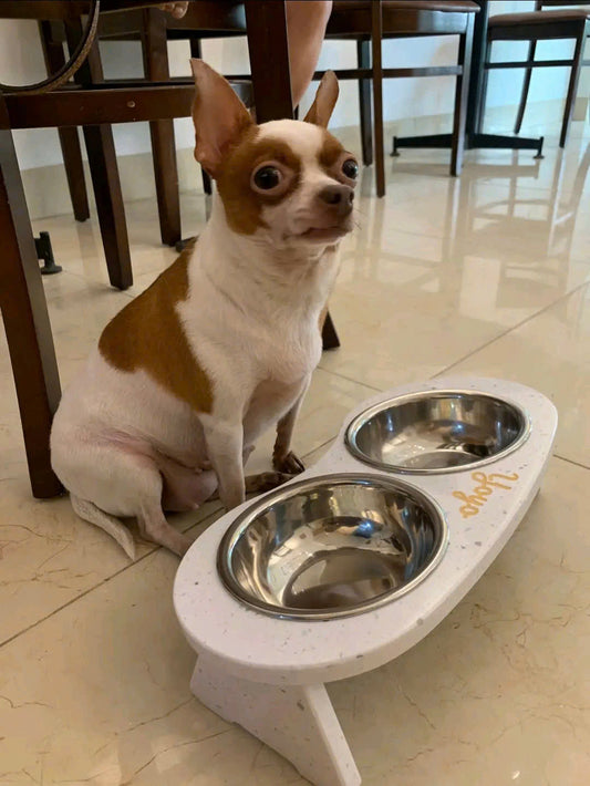 Kệ bát ăn thú cưng - Hà Nội