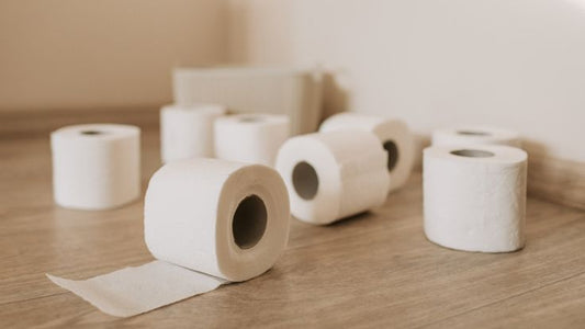 Có nên bỏ giấy vệ sinh vào bồn cầu hay không?