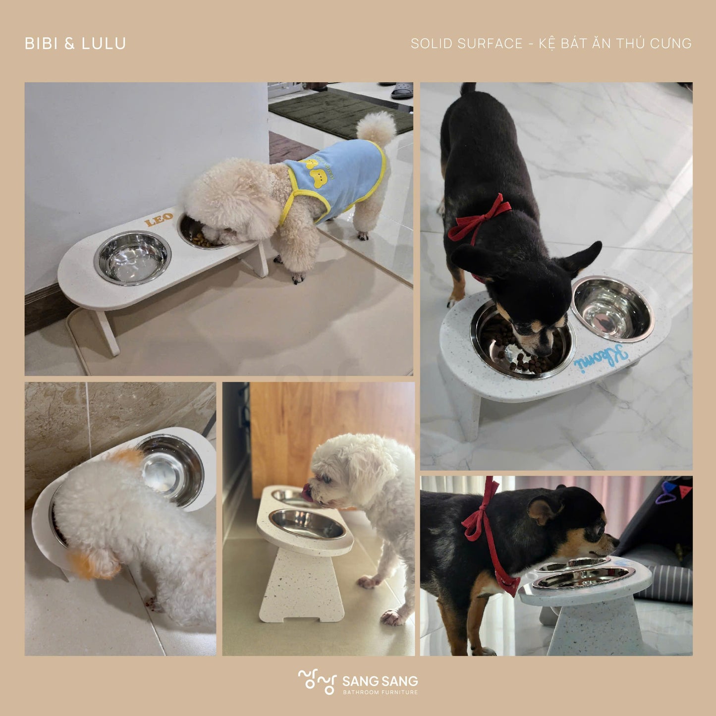 [KHÔNG KHẮC TÊN] Kệ bát ăn chống gù lưng dành cho thú cưng không khắc tên