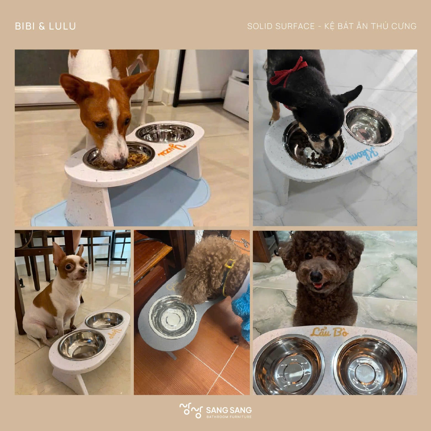 [KHÔNG KHẮC TÊN] Kệ bát ăn chống gù lưng dành cho thú cưng không khắc tên